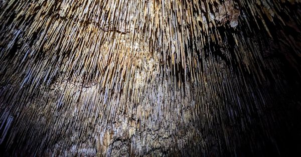 Cave: Cova des Genet / Porto Cristo