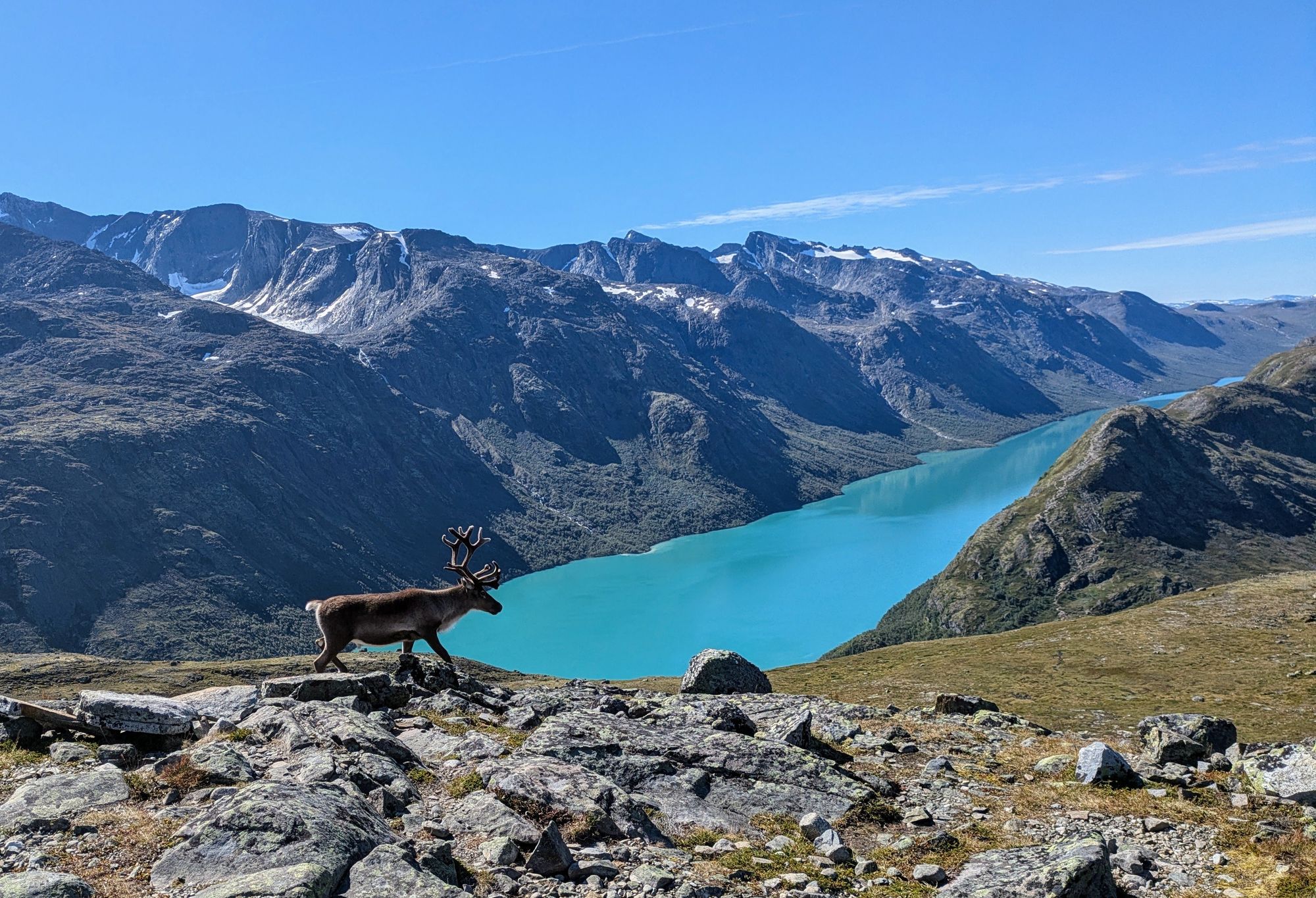 A perfect day out on the Besseggen Ridge